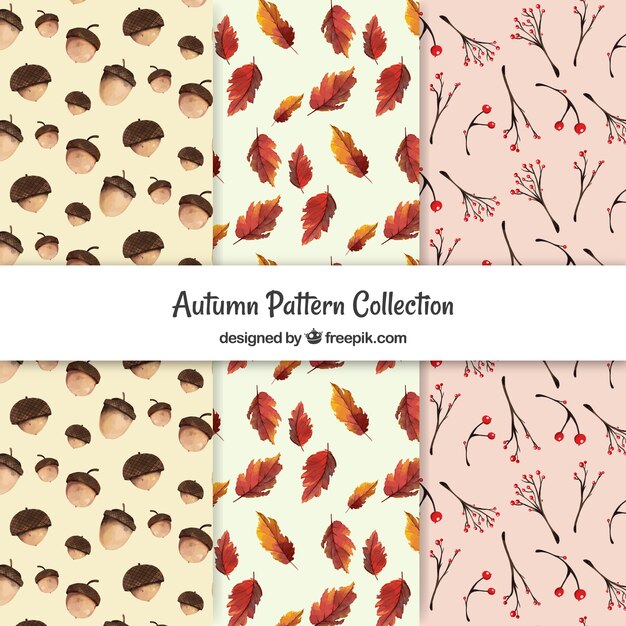 Pack artístico de patrones de otoño en acuarela