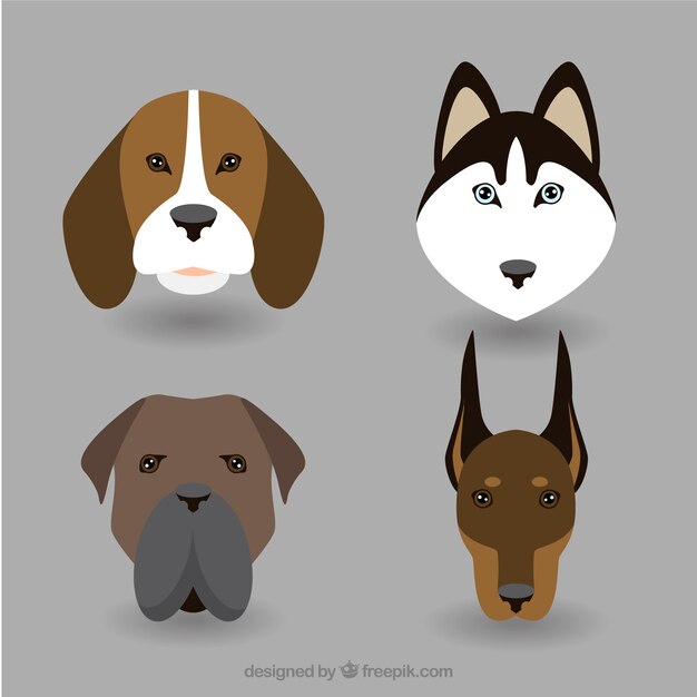 Pack de avatares de razas de perro