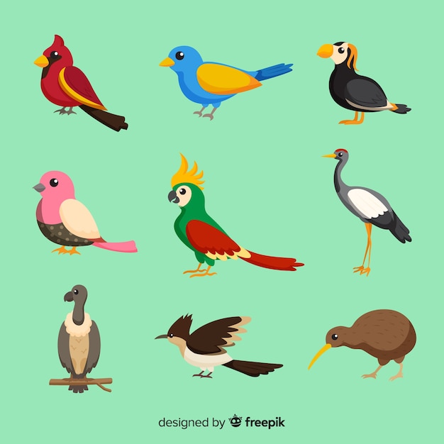 Vector gratuito pack de aves exóticas planas