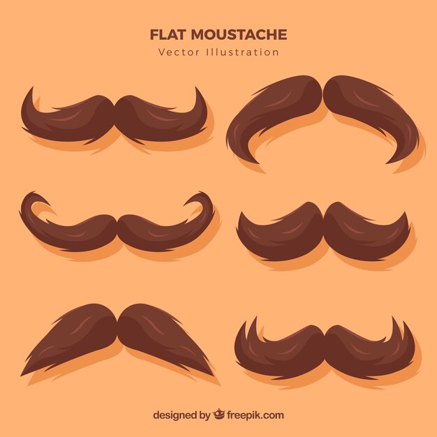 Pack de bigotes de color marrón 