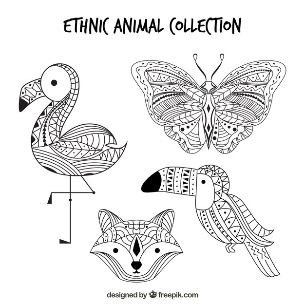 Pack de bocetos de animales étnicos 