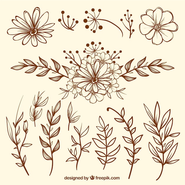 Vector gratuito pack de bocetos de flores vintage