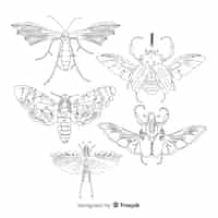 Vector gratuito pack bocetos de insectos realistas dibujados a mano