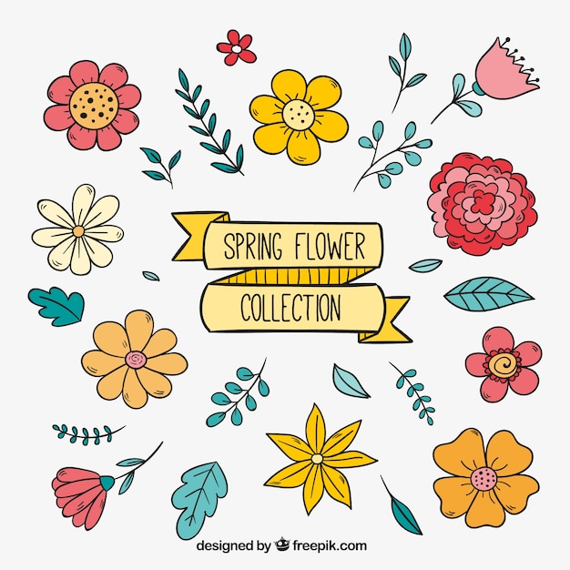 Vector gratuito pack de bonitas flores dibujadas a mano