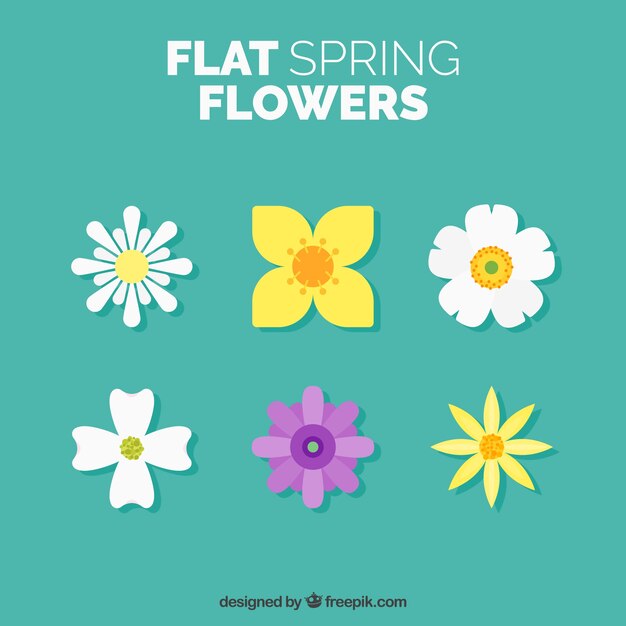 Pack de bonitas flores en diseño plano 