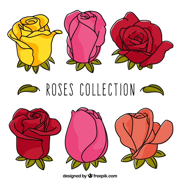 Pack bonito de rosas con diferentes colores