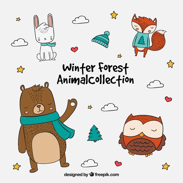 Pack de bonitos animales del bosque