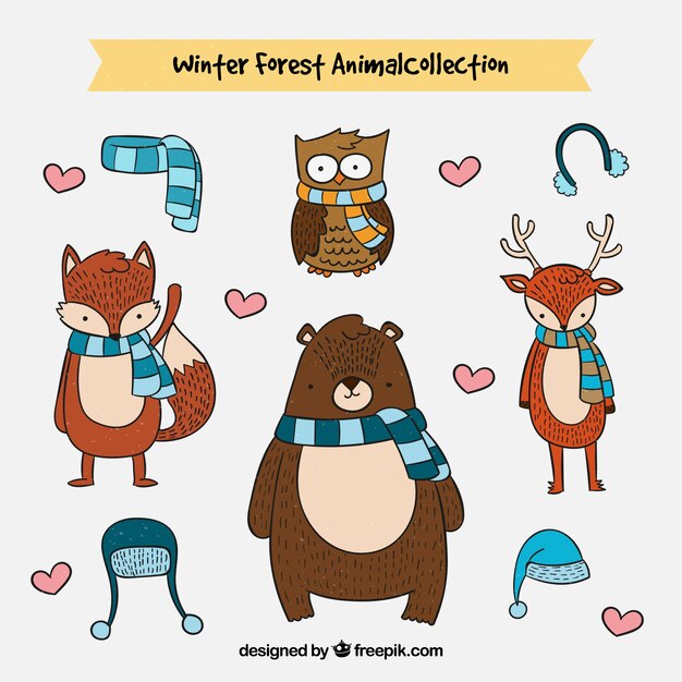 Pack de bonitos animales del bosque
