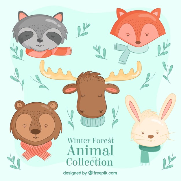 Pack de bonitos animales del bosque