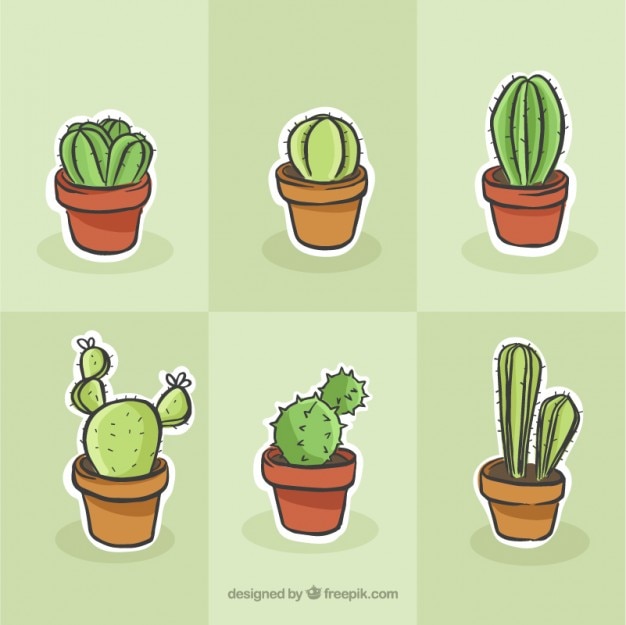 Vector gratuito pack de cactus decorativos dibujados a mano