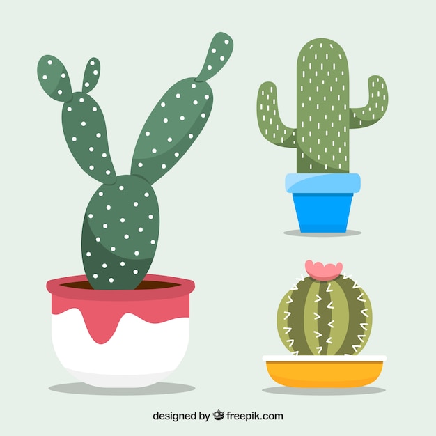 Vector gratuito pack de cactus con estilo adorable