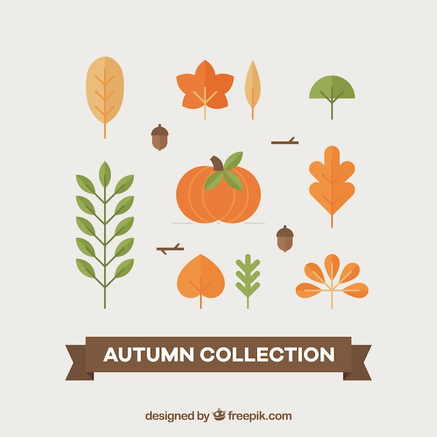 Vector gratuito pack de calabaza con elementos naturales de otoño