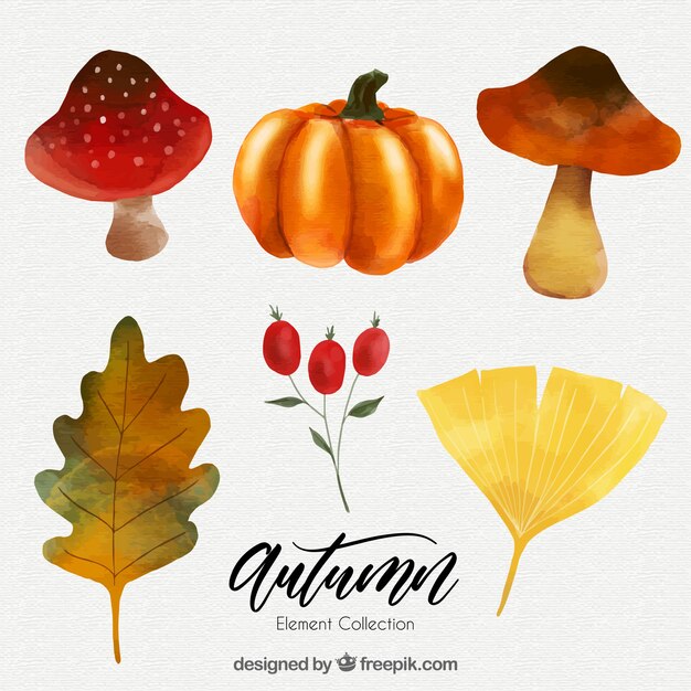 Pack de calabaza con setas y hojas de otoño 