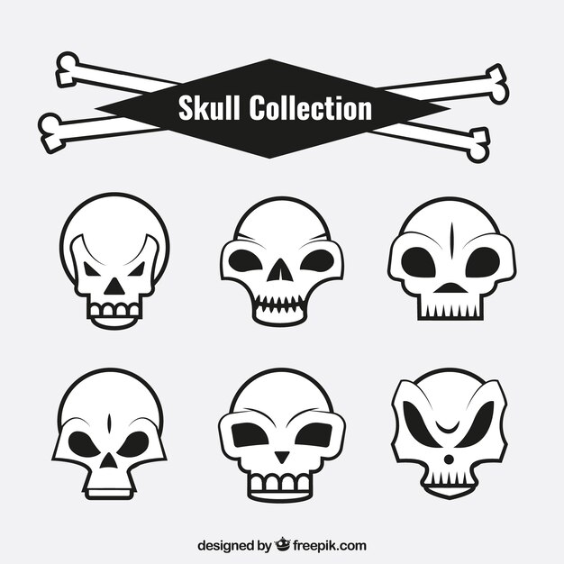 Pack de calaveras con diseños divertidos