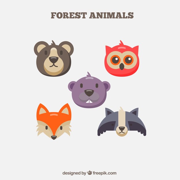 Pack de cinco animales del bosque en diseño plano