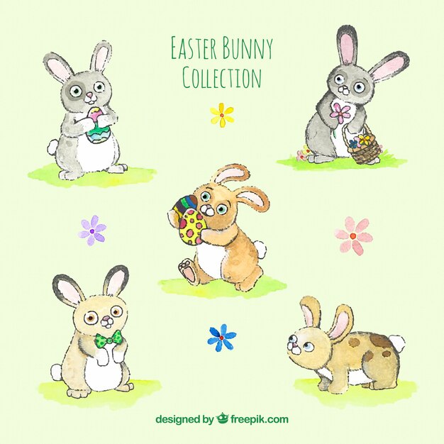 Pack de cinco conejitos de pascua de acuarela dibujados a mano 