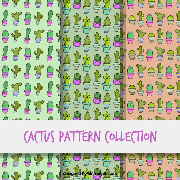 Pack clásico de patrones de cactus a mano