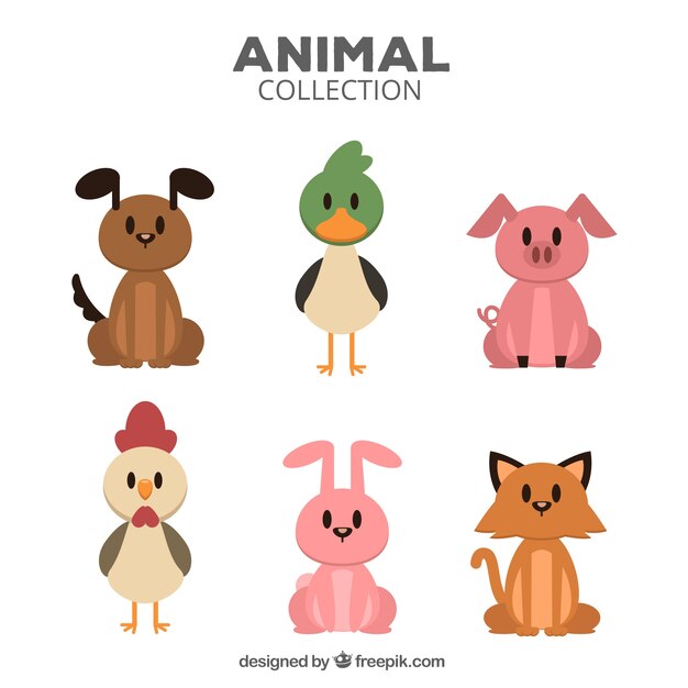 Pack colorido de animales con diseño plano