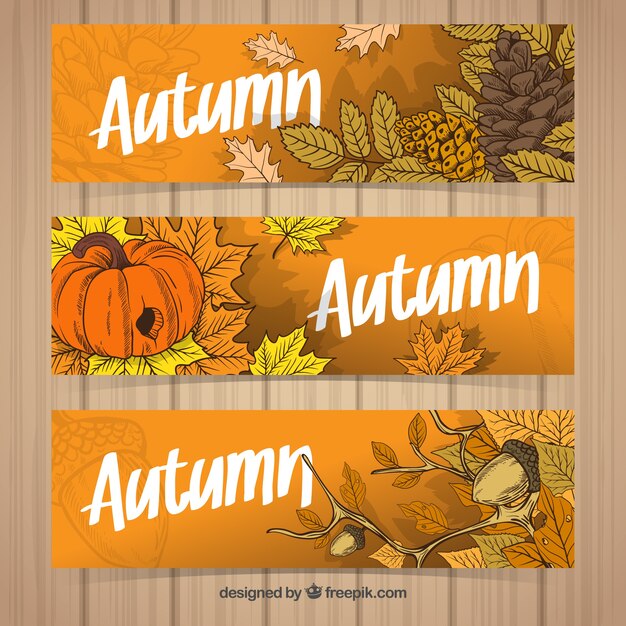 Pack colorido de banners de otoño dibujados a mano