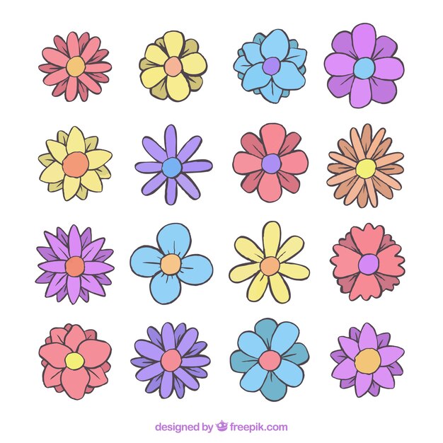 Pack colorido de elementos florales dibujados a mano