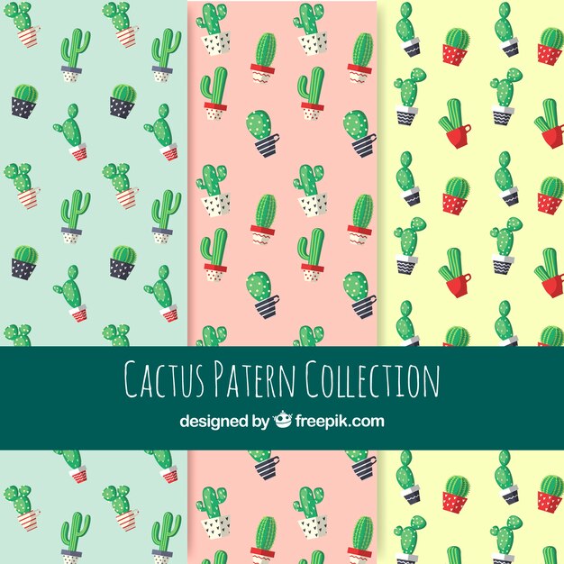 Pack colorido de patrones de cactus
