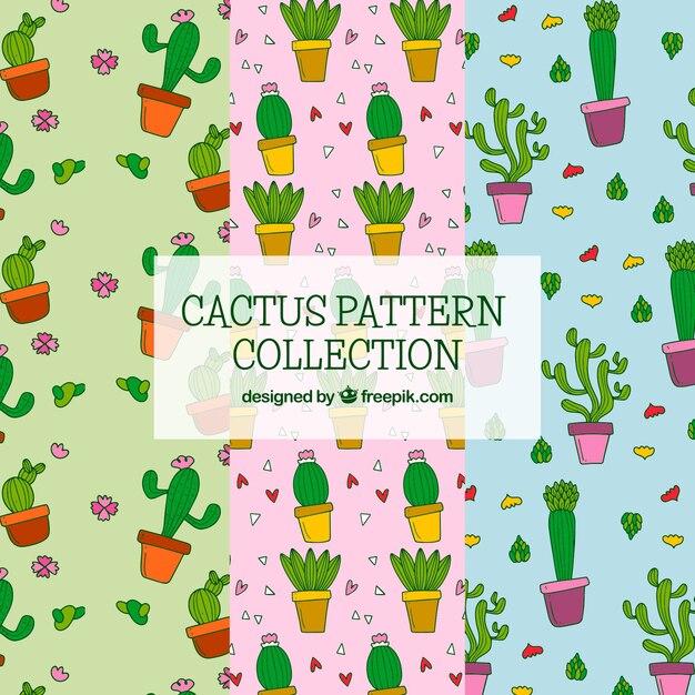 Pack colorido de patrones graciosos de cactus