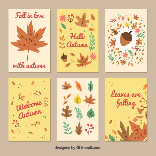 Pack colorido de tarjetas otoñales divertidas