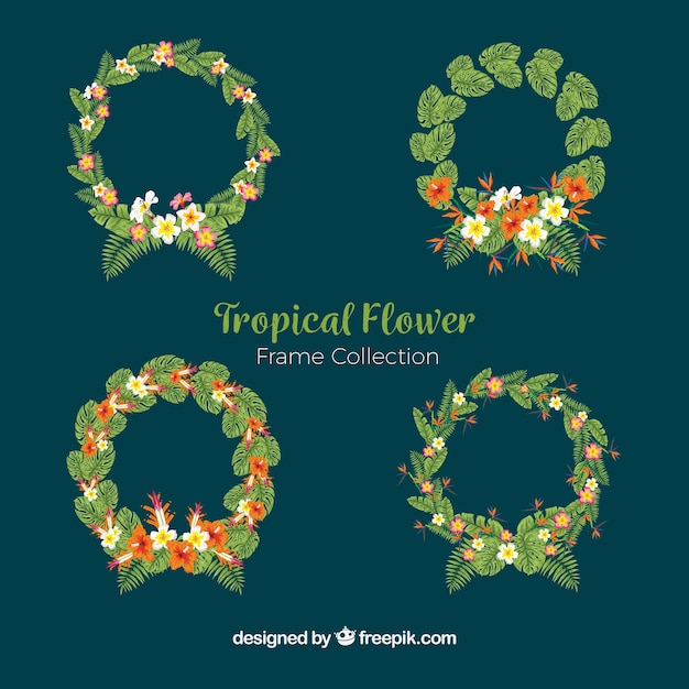 Vector gratuito pack de coronas florales tropicales