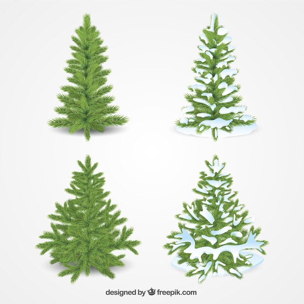 Pack de cuatro árboles de navidad realistas