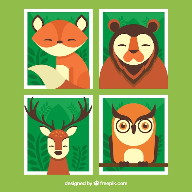 Vector gratuito pack de cuatro cartas con bonitos animales salvajes