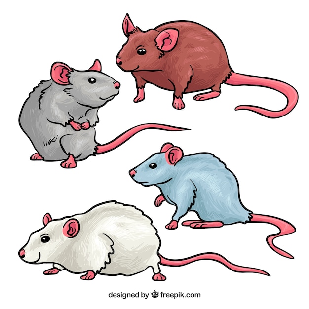 Pack de cuatro ratones dibujados a mano