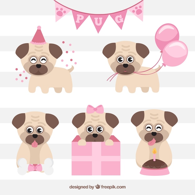 Vector gratuito pack de cumpleaños con carlinos adorables