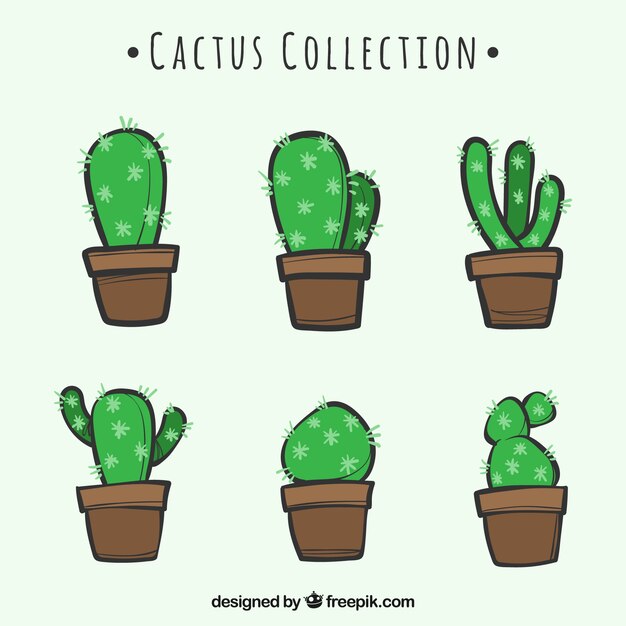 Pack dibujado a mano con cactus adorables