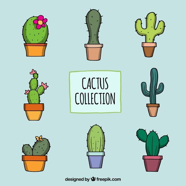 Pack dibujado a mano de cactus clásicos