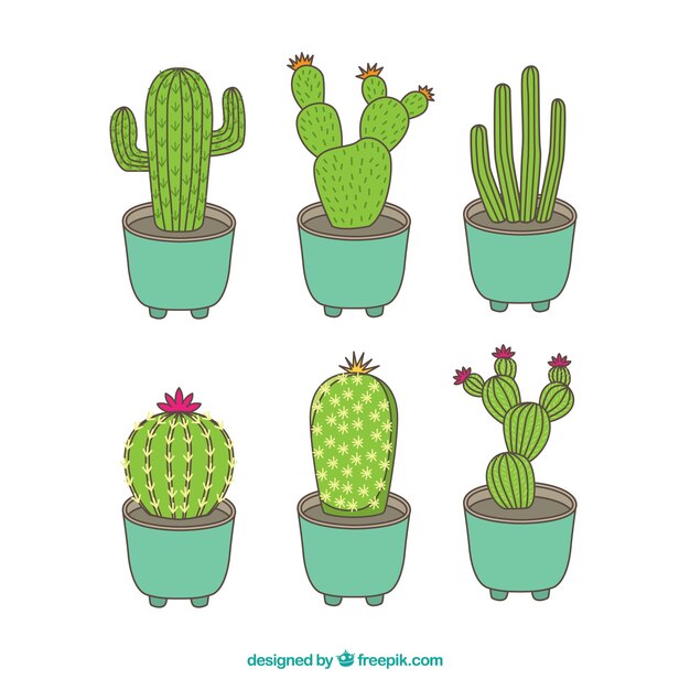 Pack dibujado a mano de cactus clásicos