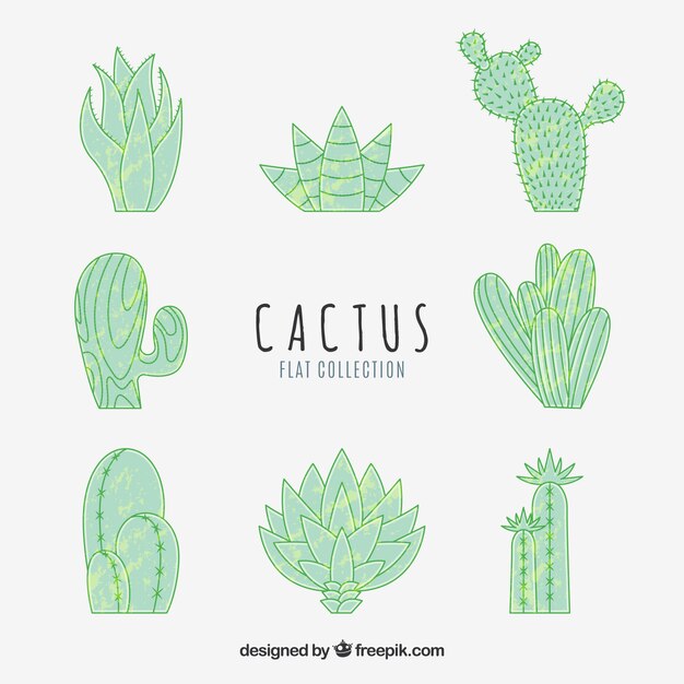 Pack dibujado a mano de cactus divertidos