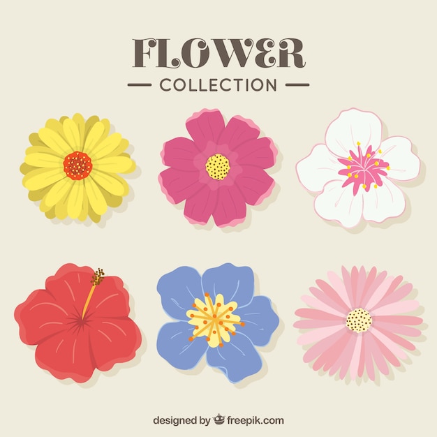 Pack dibujado a mano de diferentes tipos de flores