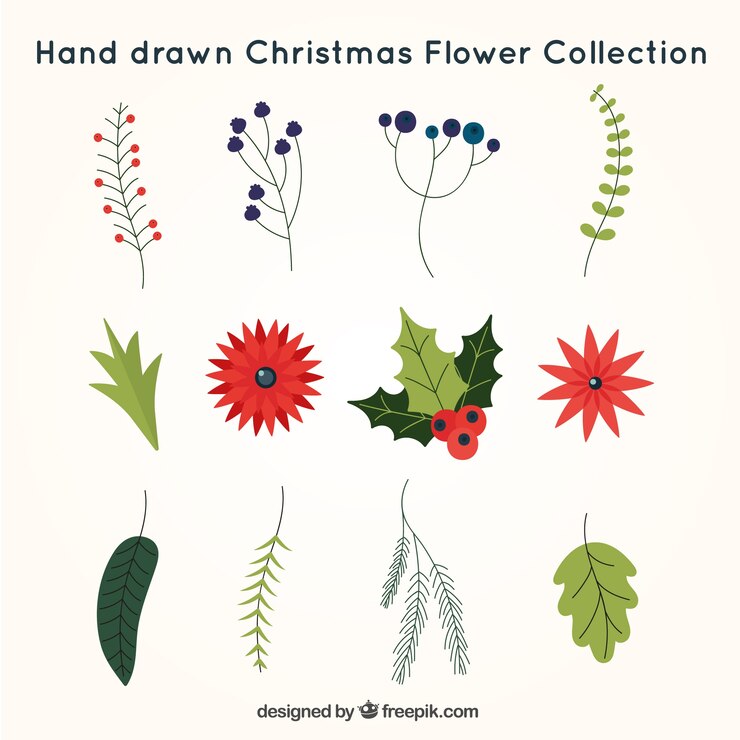Vector gratuito pack dibujado a mano de flores navideñas