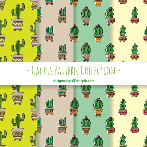 Pack dibujado a mano de patrones de cactus