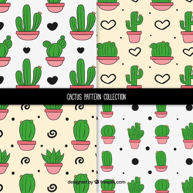 Pack dibujado a mano de patrones de cactus