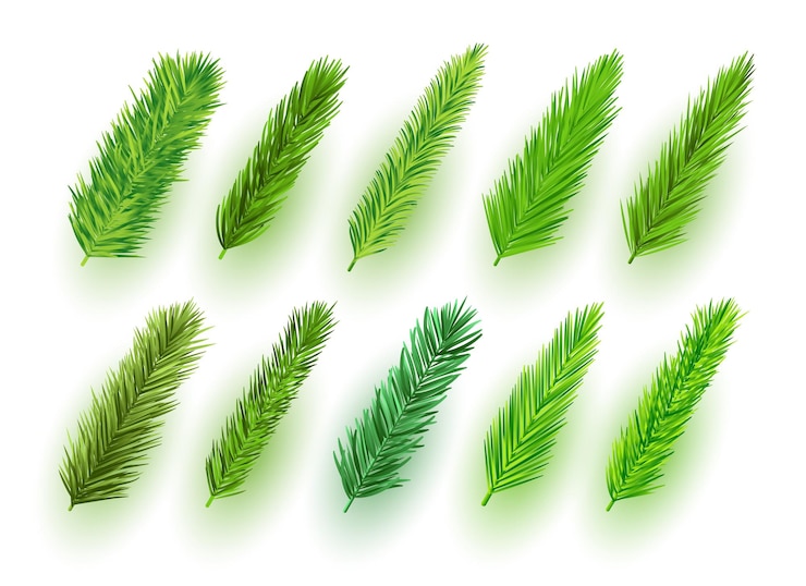 Vector gratuito pack de diseño de hojas verdes aisladas para decoración navideña