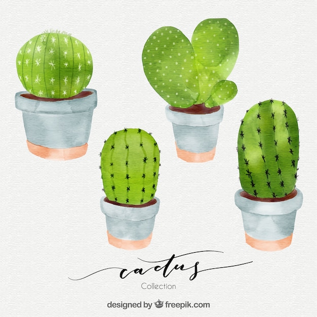 Vector gratuito pack divertido de cactus en acuarela