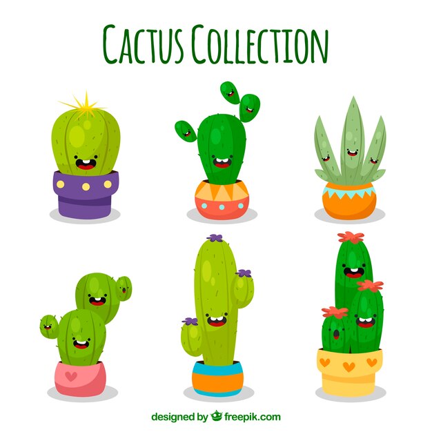 Pack divertido de cactus sonrientes
