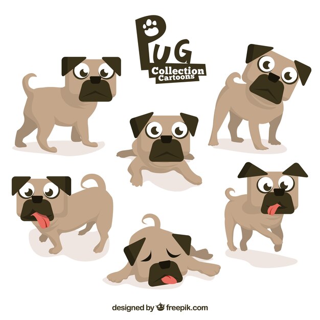 Pack divertido de carlinos con diseño plano