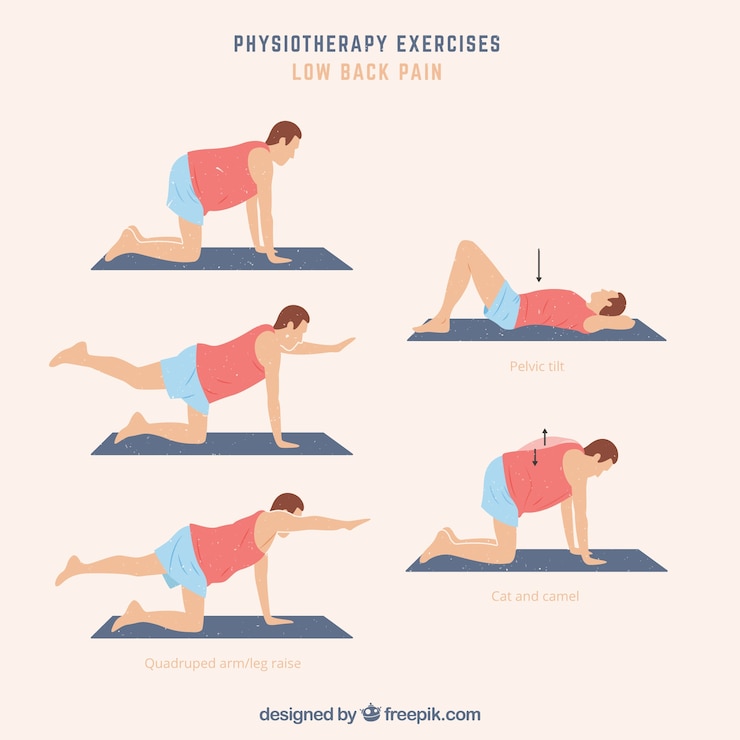 Vector gratuito pack de ejercicios de rehabilitación 