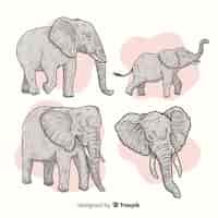 Vector gratuito pack de elefantes dibujados a mano.