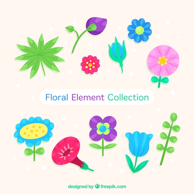 Vector gratuito pack elegante de elementos florales dibujados a mano