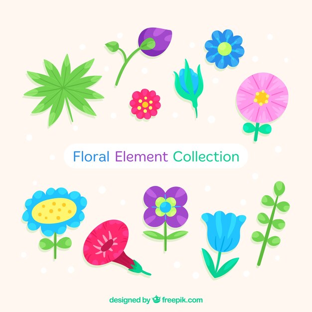 Pack elegante de elementos florales dibujados a mano