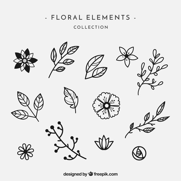 Pack elegante de elementos florales dibujados a mano
