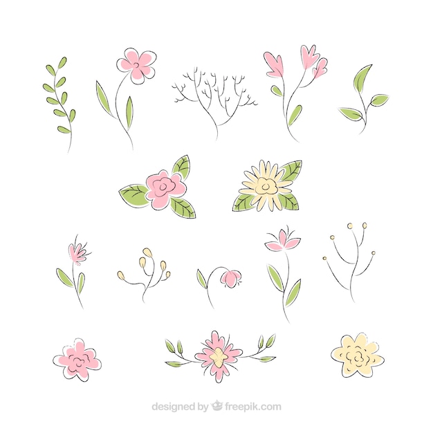 Vector gratuito pack elegante de elementos florales dibujados a mano